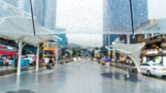 韓国の梅雨