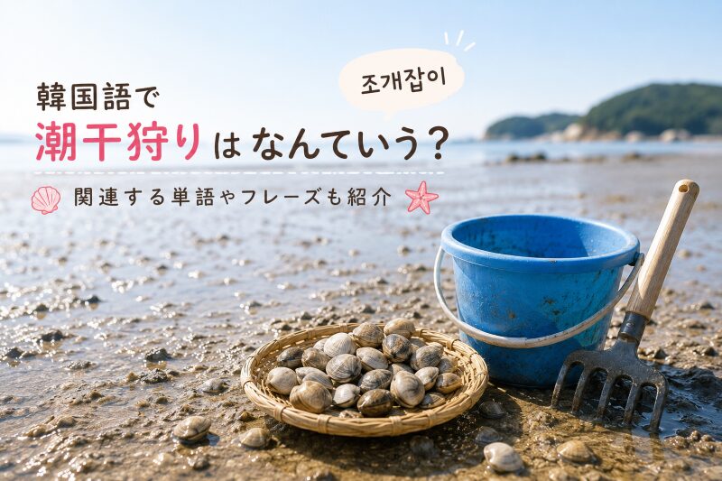潮干狩り